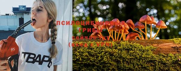 дмт Баксан