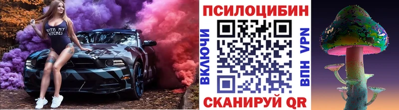 купить наркоту  Калуга  Псилоцибиновые грибы Cubensis 